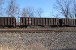 NS 10125